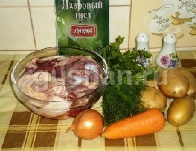 Суп с куриными потрошками классический рецепт. Куриный суп с потрохами рецепт с фото