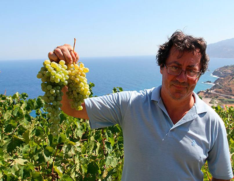 Винодельни греции. Греция выделяется среди винодельческих стран своей территорией и климатом