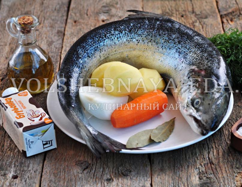 Уха сырная. Уха по-фински со сливками - пошаговые рецепты приготовления из семги, форели или плавленным сыром