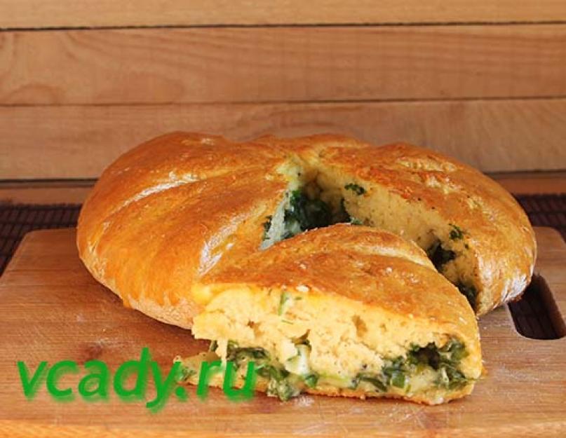 Пироги с зеленым луком — три простых рецепта. Заливной пирог с луком и яйцом