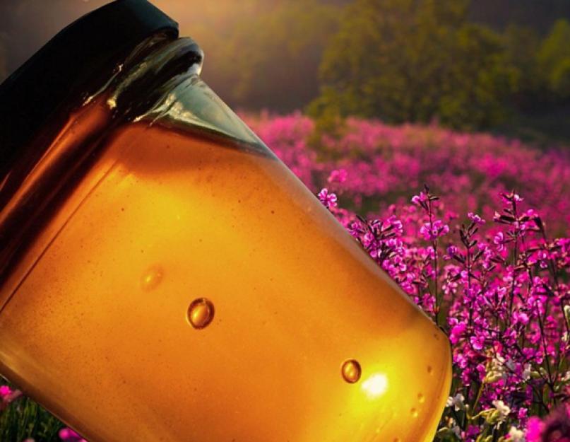 Как сделать мед жидким в домашних условиях. Способы растопки меда. Как быстро растопить засахаренный мед