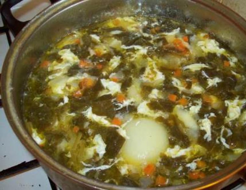 Суп щавелевый с куриным бульоном рецепт. Щавелевый суп – хит летнего сезона