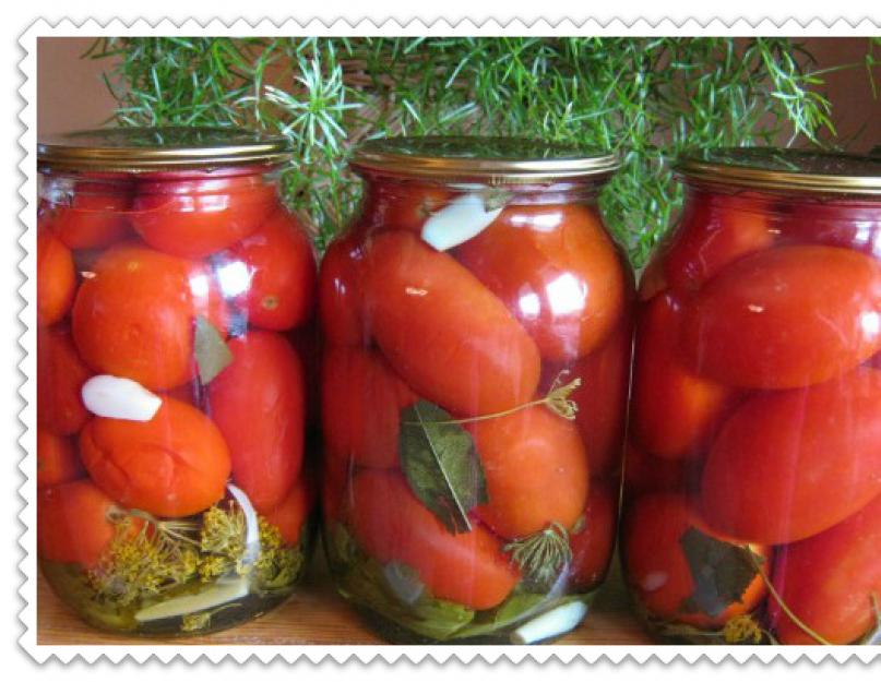 Les tomates farcies à l'ail pour l'hiver se lèchent les doigts.  Les tomates à l'ail pour l'hiver se lèchent bien les doigts.  Tranches de tomates épicées au goût d'ail frais - une recette simple pour l'hiver