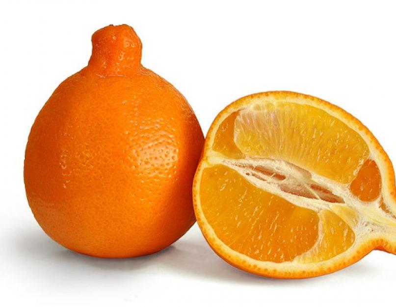 Мандарин скрещенный с апельсином. Противопоказания к употреблению. Гибриды мандарина, фото, названия и описание