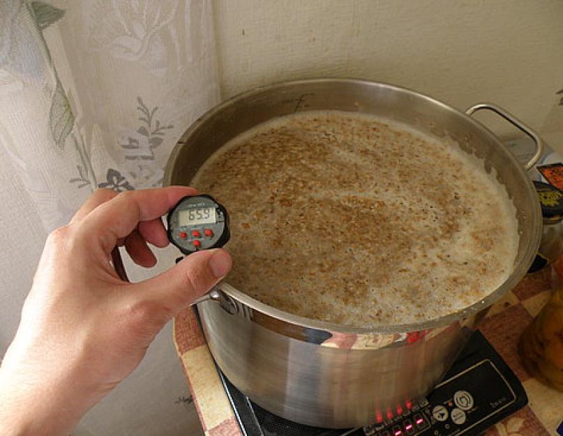 Рецепт приготовления браги на ферментах в домашних условиях. Ферменты в производстве спирта