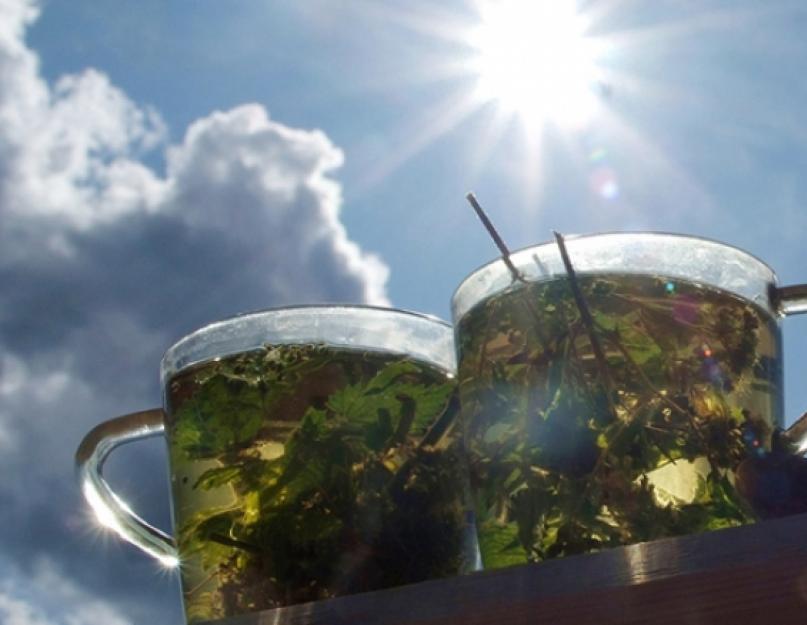 Травяной чай после бани: как заваривать и пить? Рецепты чая для бани. Какой чай лучше взять в сауну