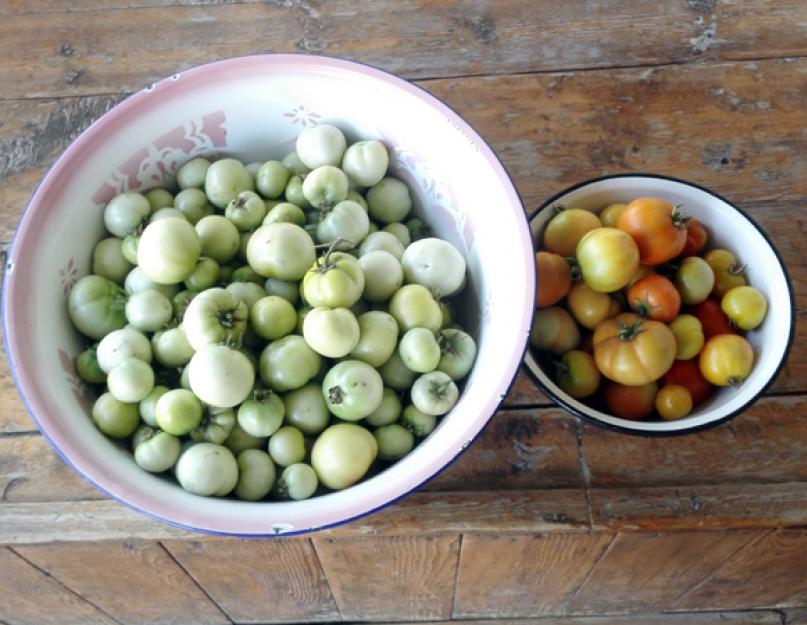 Как солить зеленые помидоры быстрого приготовления рецепт. Рецепт включает такие продукты. Острые зеленые помидоры
