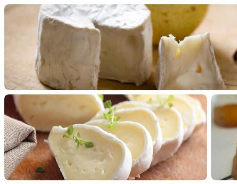 Козий сыр: польза и вред, состав, рецепт приготовления. Сыр козий
