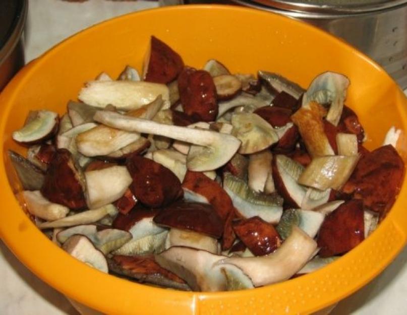 Салаты на зиму с грибами. Грибной салат