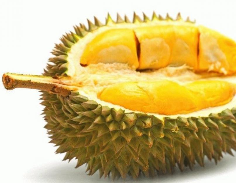 Fruit qui sent mauvais.  Durian et alcool.  Différences entre les fruits durian