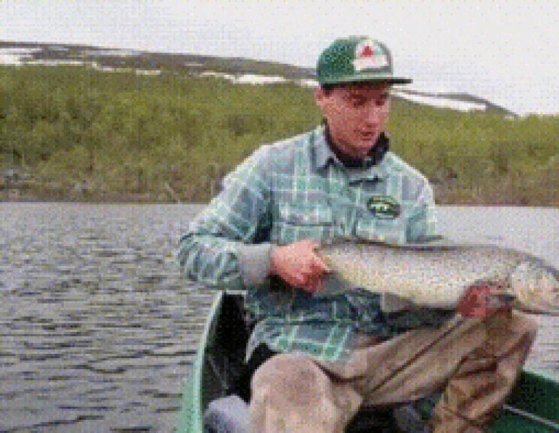 Quelle est la meilleure façon de cuisiner l'omble chevalier.  Se préparer à cuisiner.  Pêcher dans des eaux peu respectueuses de l'environnement