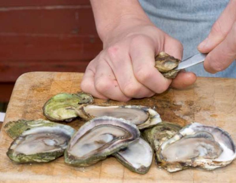 Quoi de plus savoureux que les moules ou les huîtres ?  Huîtres et moules.  Mieux que le Viagra !  Nuances de transformation en mangeant des moules et des huîtres