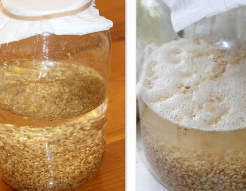 Водка пшеничная: как сделать в домашних условиях. Cамогон из пшеницы в домашних условиях