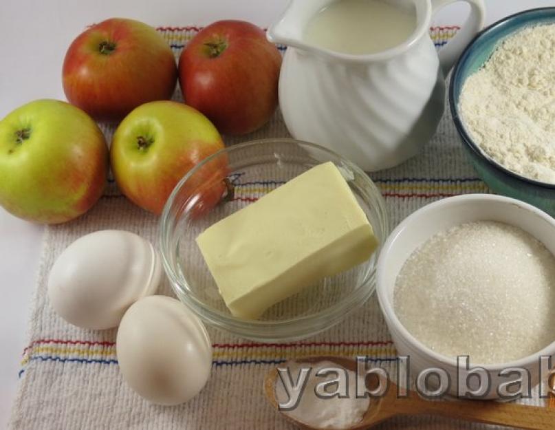 Заливная шарлотка с яблоками на кефире. Рецепты на других кисломолочных продуктах. Кефирная шарлотка с яблоками и корицей в мультиварке