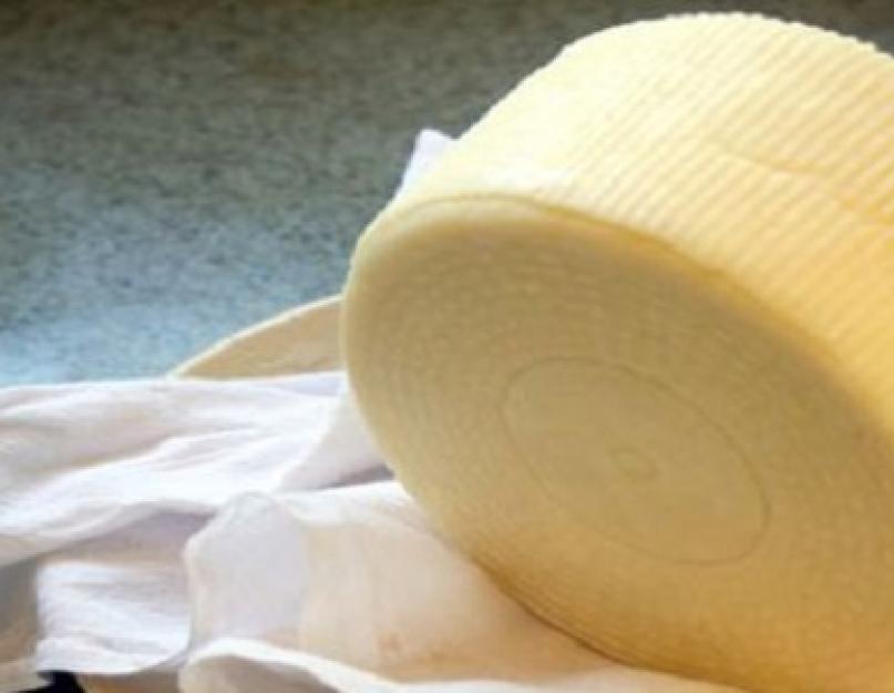 Как варить сыр дома из творога. Как приготовить сыр из творога в домашних условиях. Сыр Филадельфия в домашних условиях