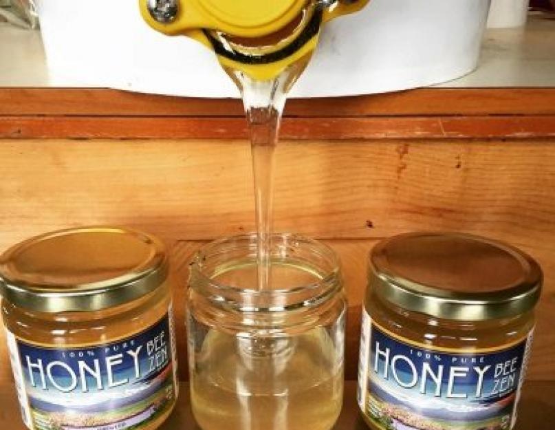 Чем полезен мед из иван чая. Мед кипрейный — полезные свойства и противопоказания. Мед кипрея — как отличить подделку
