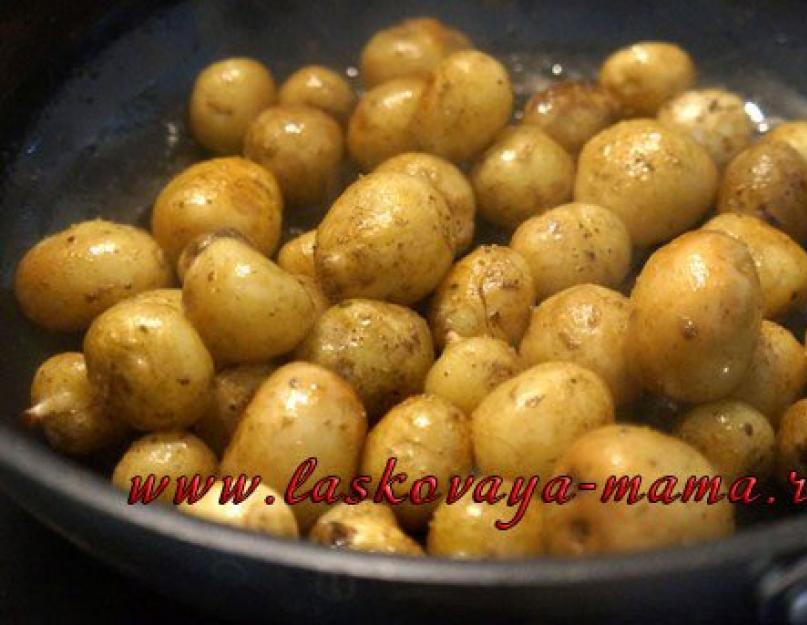 Что приготовить из молодой картошки – рецепты. Как приготовить молодой картофель – оригинальные рецепты для вас