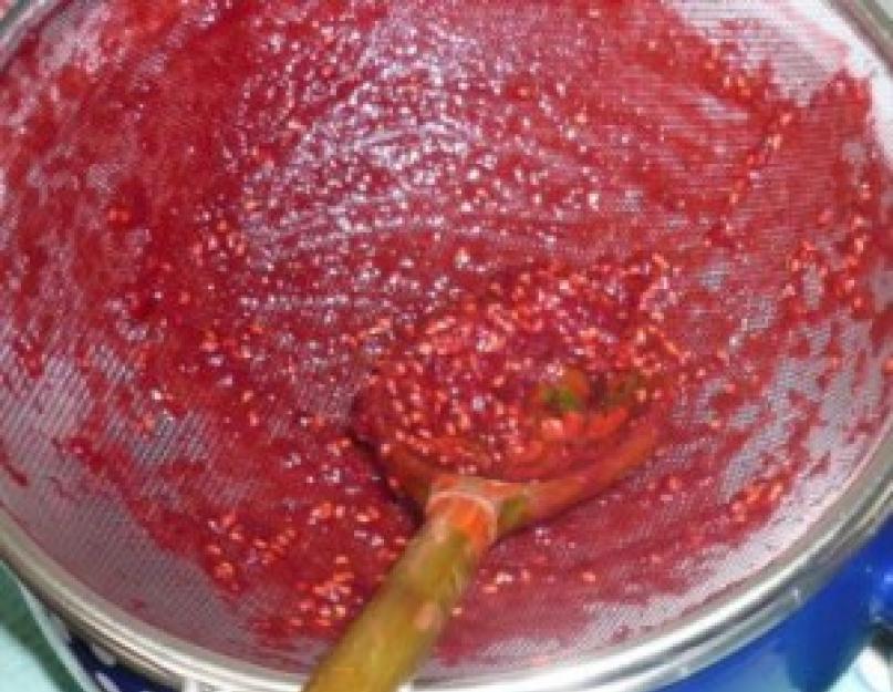 Purée de baies pour l'hiver.  Purée de fruits - les meilleures recettes.  Comment préparer correctement et savoureusement une purée de fruits.  Purée de fruits - préparation de la nourriture et des ustensiles