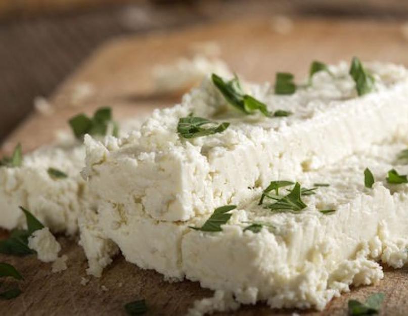 Recettes de fromage à pâte molle au lait de chèvre.  Comment faire du fromage au lait de chèvre à la maison : des recettes simples