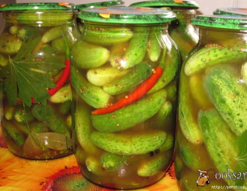 Comment mariner les concombres et les courgettes.  Courgettes en conserve aux concombres.  Comment mariner des courgettes et des concombres dans un seul pot