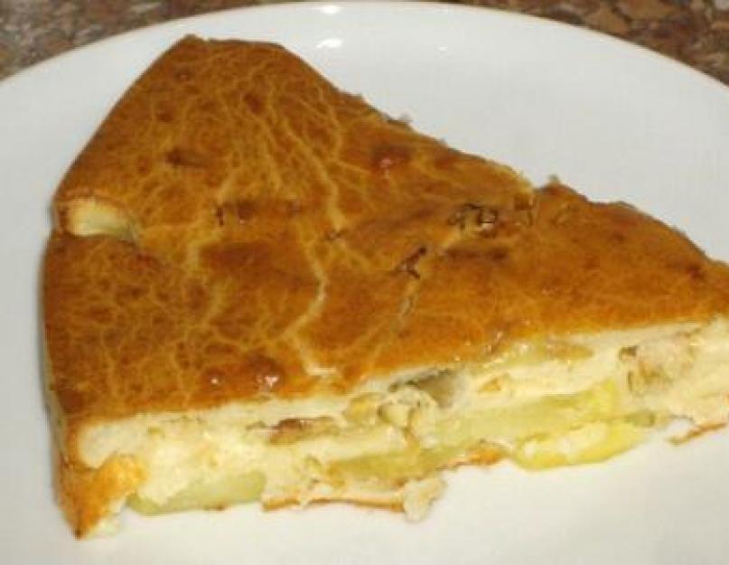 Comment préparer une pâte gelée pour une tarte ?  La tarte au kéfir est rapide, simple et très savoureuse.  Recettes de tartes au kéfir en vrac : avec de la viande, du fromage, du poisson, des cerises, etc.