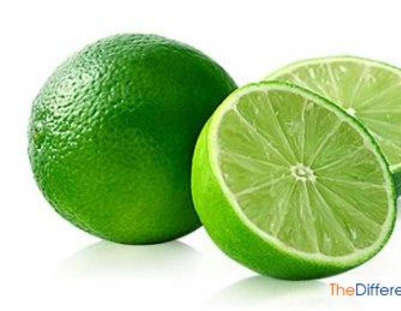Чем отличается лимон от лайма. Лайм vs зеленый лимон: найди отличия