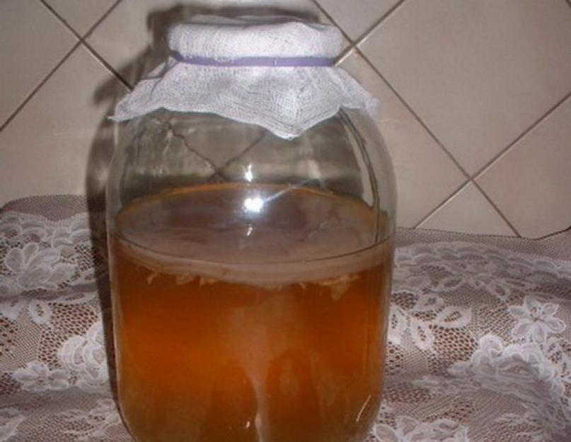 Рецепт как быстро вырастить чайный гриб. Все самое интересное о чайном грибе. Инструкция по приготовлению напитка чайного гриба