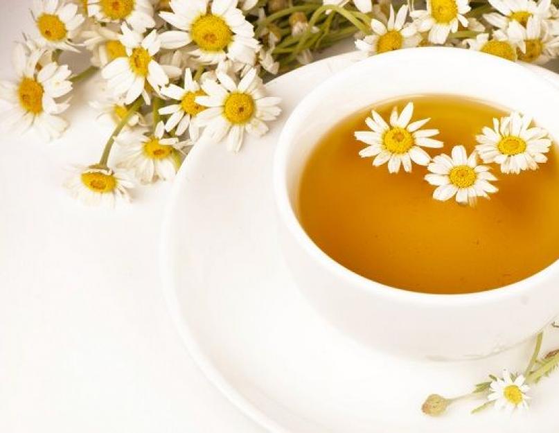 Ромашковый чай — напиток красоты и здоровья. Как заварить чай с ромашкой. Ромашковый чай успокаивает