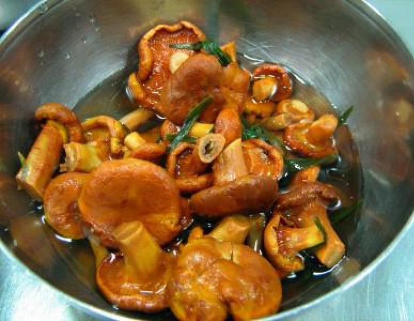 Рецепты соленых грибов в рассоле. Пошаговый рецепт приготовления с фото. Сухой засол грибов