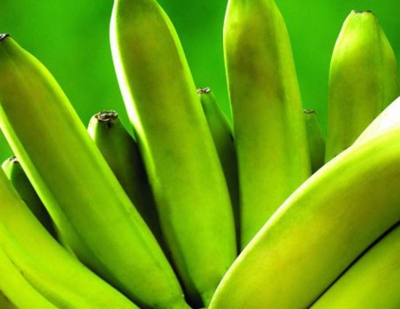Чем полезен банан для организма? Полезные свойства бананов. Чем полезны бананы для женщин и как их правильно употреблять с пользой, а не во вред