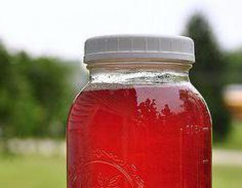 Красная черемуха компот на зиму. Алыча красная компот на зиму. Компот из красной черемухи на зиму. Компот из черешни. Компот вишня смородина.