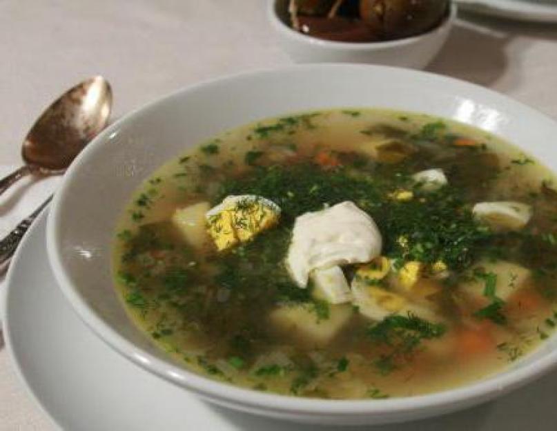 Щавель. Простые и вкусные рецепты зелёного супа со щавелем. Щавелевый суп с яйцом по классическим рецептам