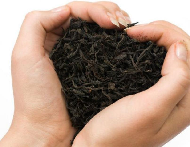 Зеленый или черный чай польза и вред. Какой чай полезнее - зеленый или черный
