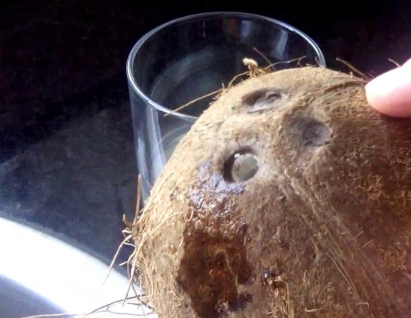 Кокосовая вода: состав, полезные свойства, применение, как сделать дома? Польза и вред кокосовой воды