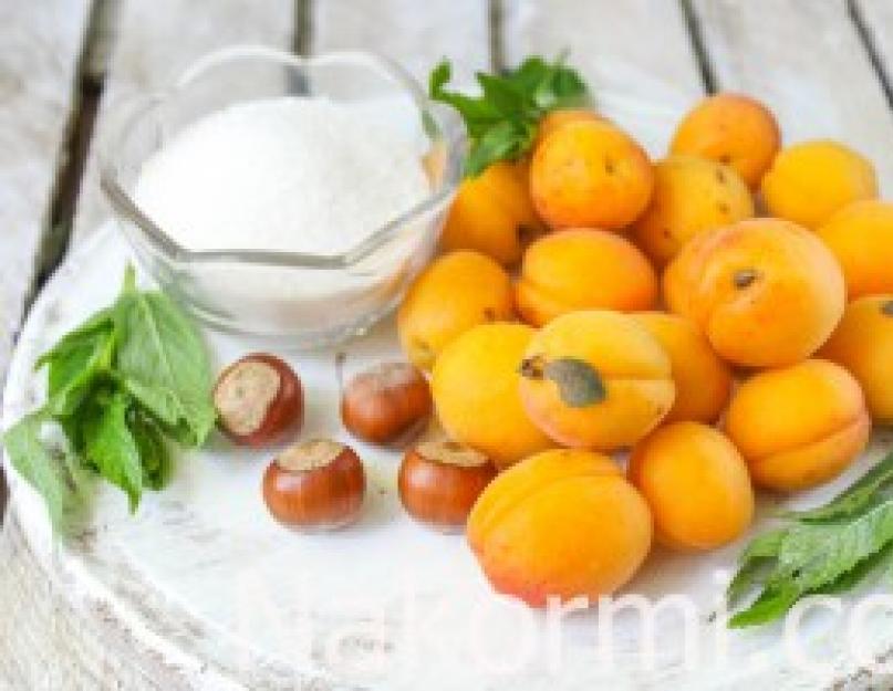 Абрикосовое варенье с орехами — рецепт с пошаговым фото. Варенье из абрикосов с орехами на зиму