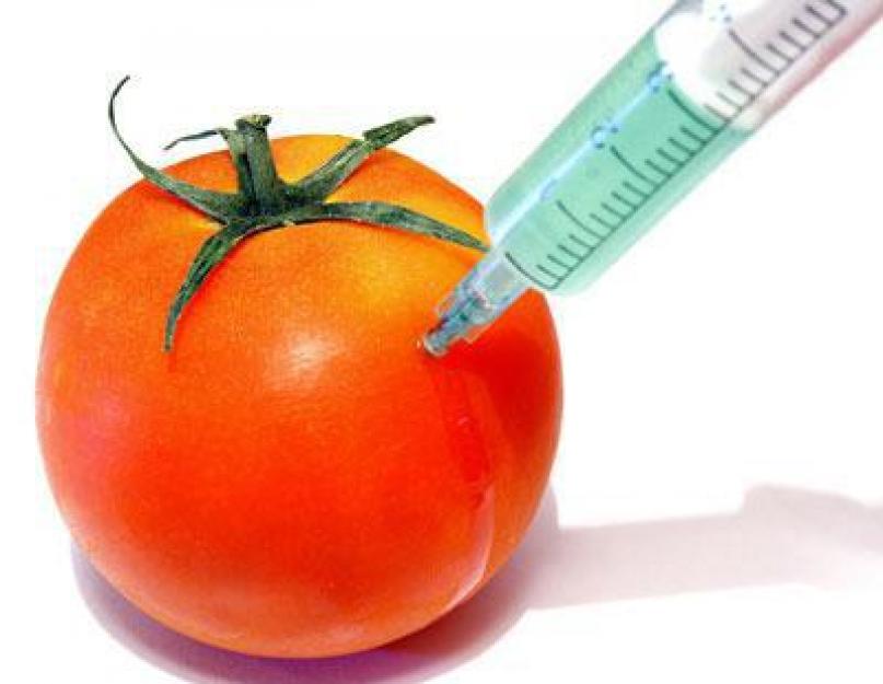 Безопасно ли использование гмо в продуктах. Есть ли польза? ГМО вредят окружающей среде