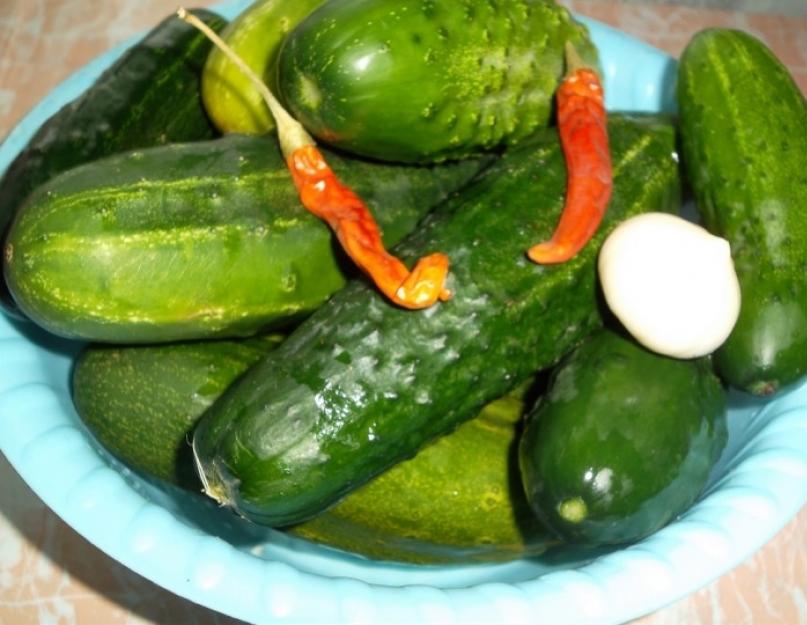 Quand les cornichons sont prêts.  Cornichons : la recette de ma grand-mère (méthode froide)