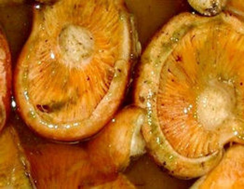 Соление рыжиков в домашних условиях рецепты. Как правильно солить грибы рыжики в домашних условиях. Ингредиенты для маринования рыжиков
