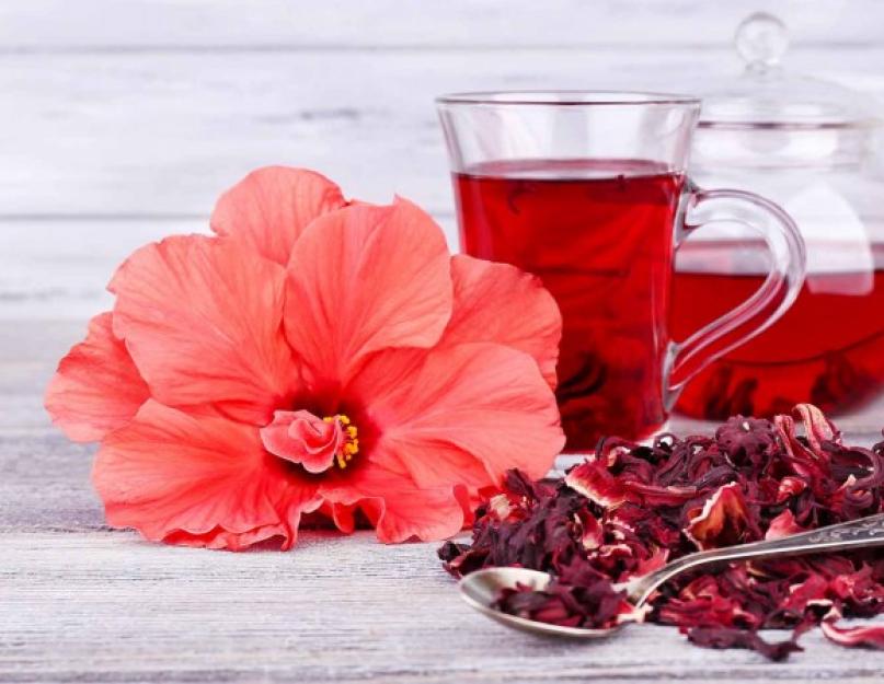 Чай гибискус - полезные свойства. Гибискус — цветы суданской розы