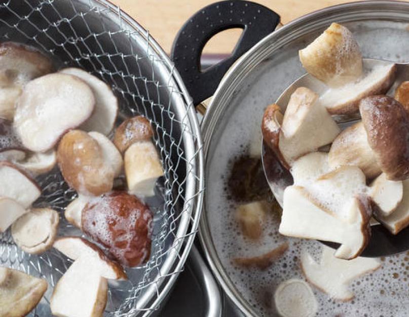 Рецепты маринованных белых грибов: самые вкусные варианты приготовления. Как приготовить маринованные белые грибы