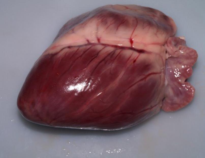 Свиное сердце на сковороде. Как приготовить свиное сердце? Быстрый салат из свиного сердца