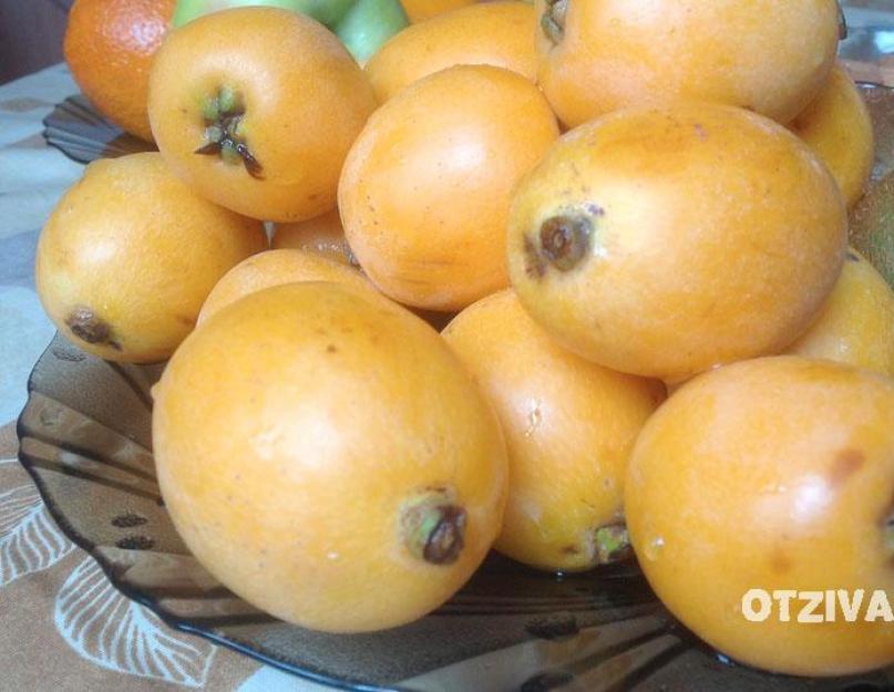Желтый фрукт похожий на абрикос мушмула. Фрукт мушмула – полезные свойства и противопоказания к применению. Как вырастить мушмулу в домашних условиях