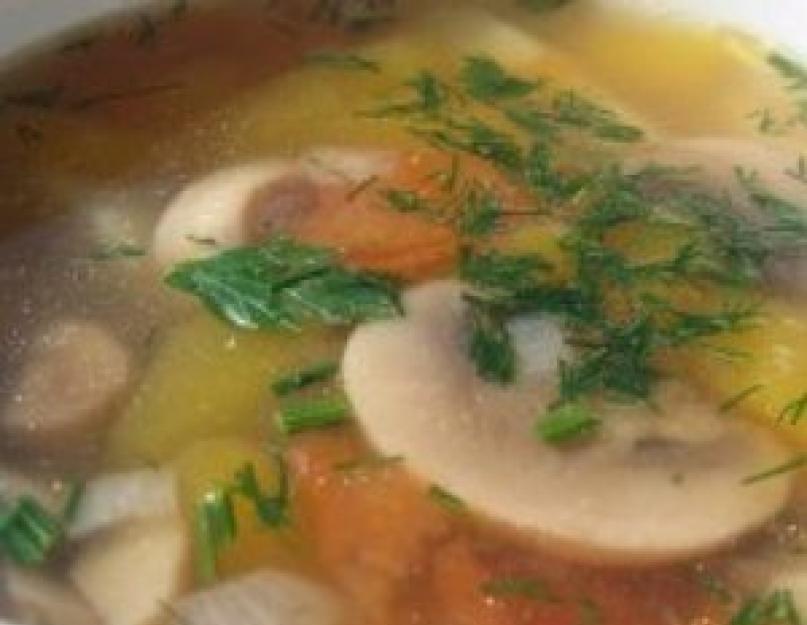 Лучшие рецепты замечательного грибного супа из замороженных грибов. Рецепт супа из замороженных белых грибов
