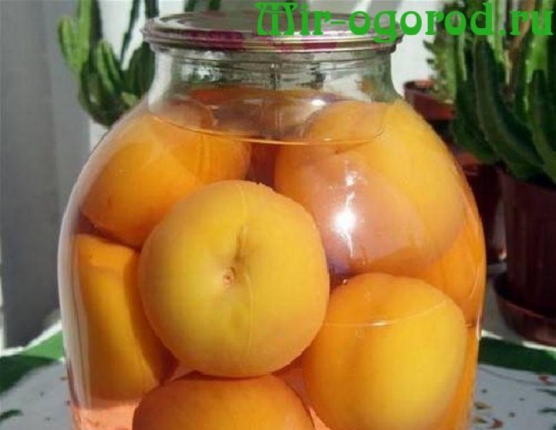 Любимые консервированные персики в сиропе на зиму. Персики, консервированные в сиропе – варианты полезной заготовки