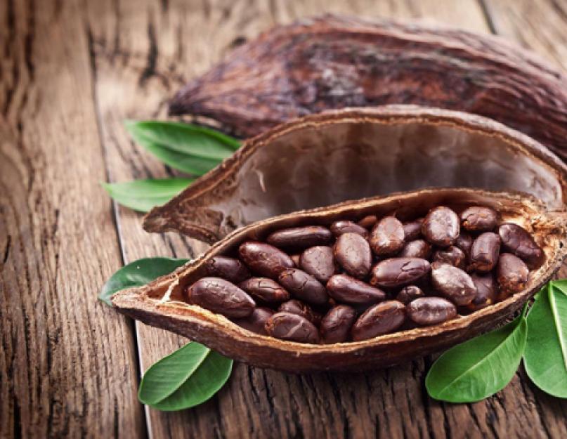 Целебные свойства какао. Применение какао в народной медицине. Как сварить вкусный какао-напиток: рецепт