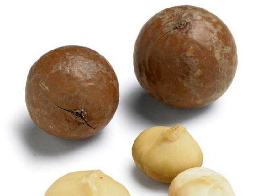 Орех макадамия сколько можно съесть. Польза и вред ореха макадамия для мужчин и женщин. Применение в кулинарии