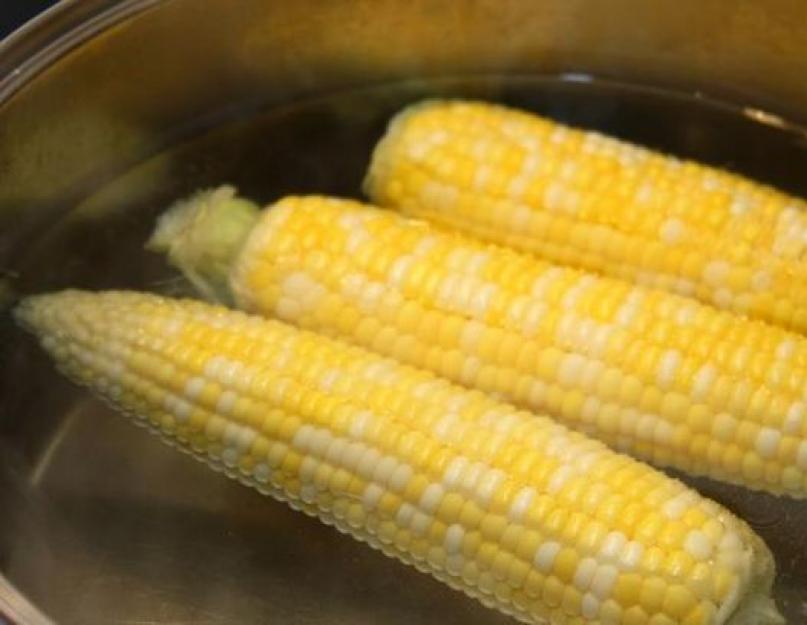 Почему при варке кукуруза жесткая. Как варить кукурузу правильно: что мы не знали о царице полей