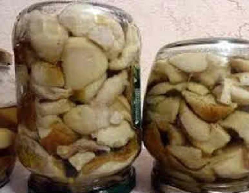 Рецепт закатки маринованных грибов. Маринованные грибы на зиму