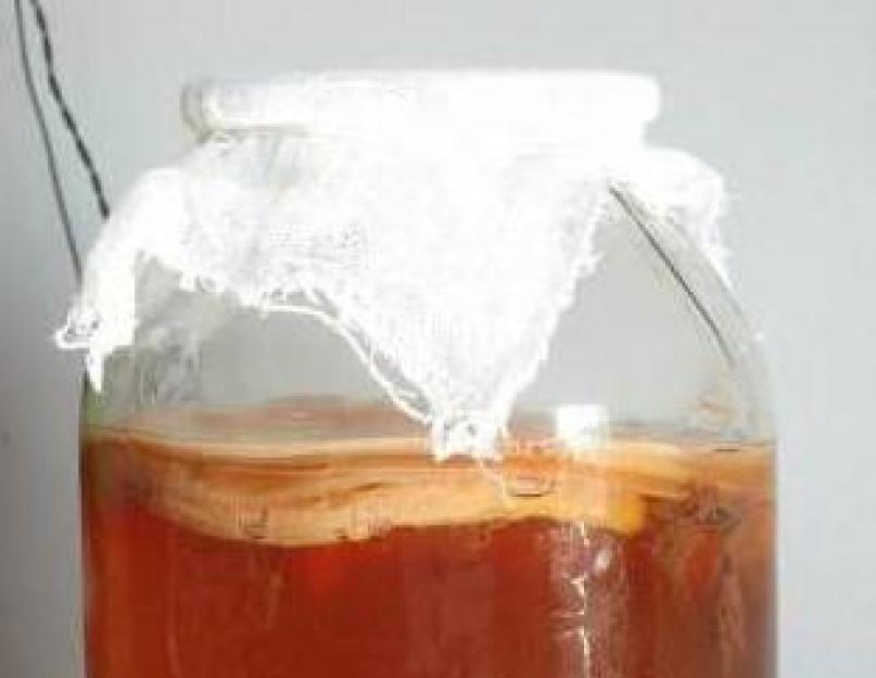 Изготовление чайного гриба в домашних условиях. Чайный гриб - приготовление напитка и выращивание. На чайной заварке