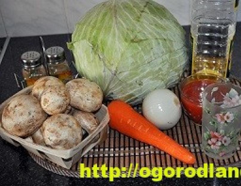 Как приготовить солянку из грибов на зиму. Рецепты грибной солянки на зиму: с капустой и без, с лисичками и шампиньонами